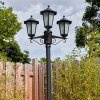 Loria Illuminazione esterna, Lampione multibraccia, Illuminazione viale Nero, 3-Luci