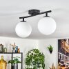 Gastor Plafoniera, Lampada a sfera Bianco, 2-Luci