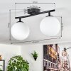 Gastor Plafoniera, Lampada a sfera Bianco, 2-Luci