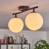 Gastor Plafoniera, Lampada a sfera Bianco, 2-Luci