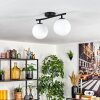 Gastor Plafoniera, Lampada a sfera Bianco, 2-Luci