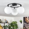 Gastor Plafoniera, Lampada a sfera Bianco, 3-Luci