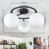 Gastor Plafoniera, Lampada a sfera Bianco, 3-Luci