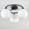 Gastor Plafoniera, Lampada a sfera Bianco, 3-Luci
