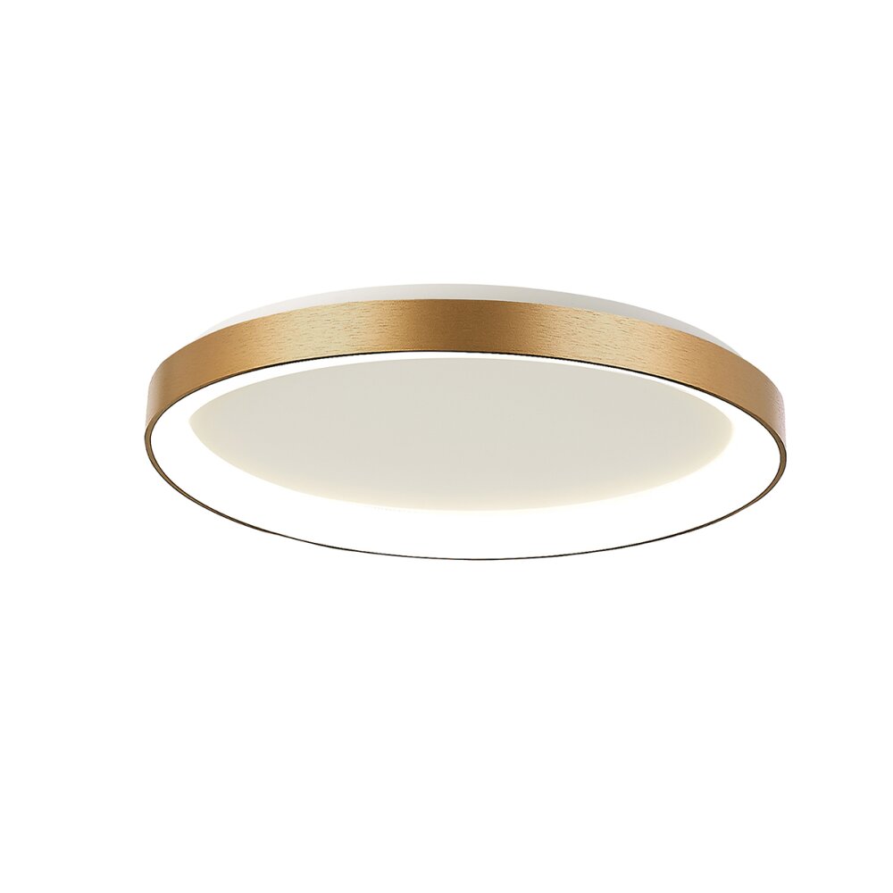 Illuminazione Steinhauer Ringlede Plafoniera LED Oro, 1-Luce main product photo