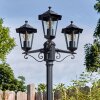 Loria Illuminazione esterna, Lampione multibraccia, Illuminazione viale Nero, 3-Luci Loria Illuminazione esterna, Lampione multibraccia, Illuminazione viale Nero, 3-Luci