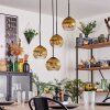 Koyoto Lampadario a sospensione, Lampada a sfera, Lampada a sospensione 35 cm Oro, Chiaro, 4-Luci