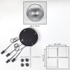 Koyoto Lampadario a sospensione, Lampada a sfera, Lampada a sospensione Chiaro, Grigio fumo, 4-Luci