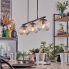 Koyoto Lampadario a sospensione, Lampada a sfera, Lampada a sospensione Chiaro, 3-Luci