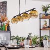 Koyoto Lampadario a sospensione, Lampada a sfera, Lampada a sospensione Oro, Chiaro, 4-Luci