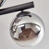 Gastor Plafoniera, Lampada a sfera Cromo, Chiaro, Grigio fumo, 10-Luci