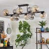 Gastor Plafoniera, Lampada a sfera Ambrato, Chiaro, Grigio fumo, 10-Luci