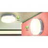 Globo OPAL Plafoniera Acciaio inox, Nichel opaco, Bianco, 1-Luce