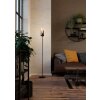 Illuminazione Eglo TOOTHILL Lampada da terra Nero, 1-Luce