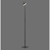 Illuminazione Leuchten Direkt AMAG Lampada da terra LED Nero, 1-Luce