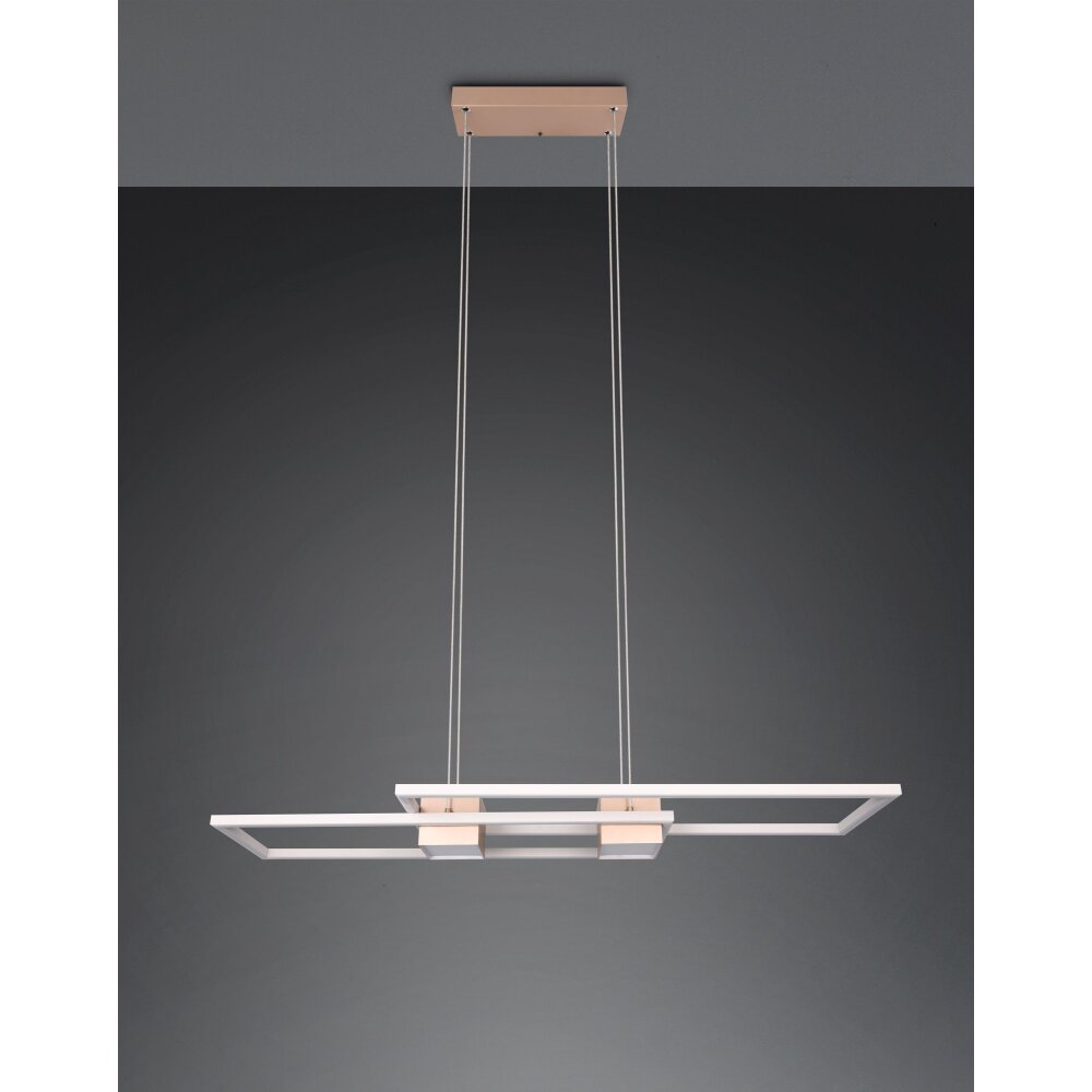 Illuminazione Trio Leuchten ALBANY Lampada a sospensione LED Marrone, 1-Luce, Telecomando