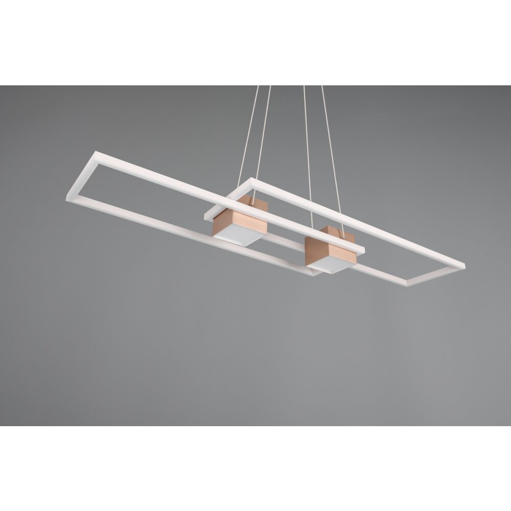 Illuminazione Trio Leuchten ALBANY Lampada a sospensione LED Marrone, 1-Luce, Telecomando