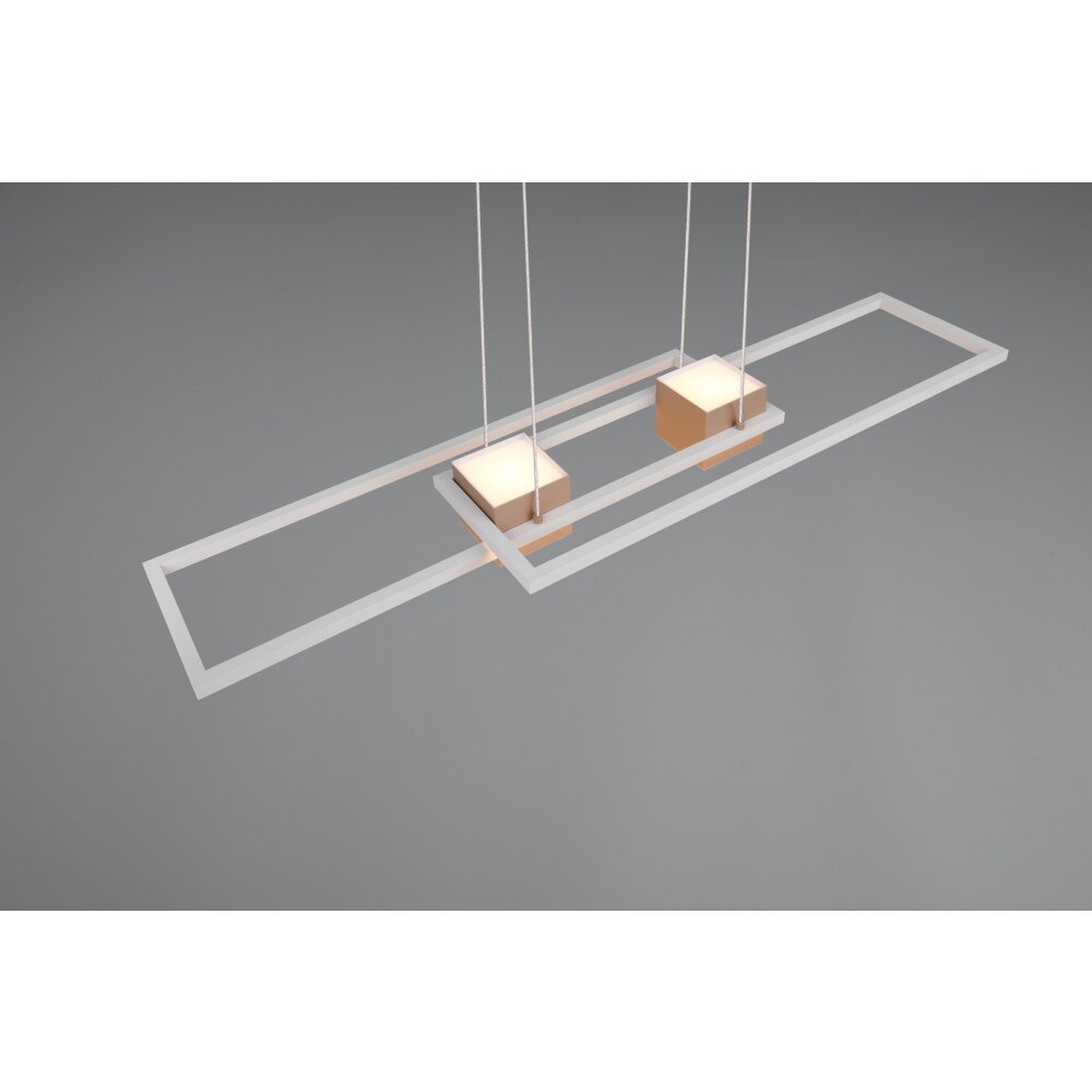 Illuminazione Trio Leuchten ALBANY Lampada a sospensione LED Marrone, 1-Luce, Telecomando
