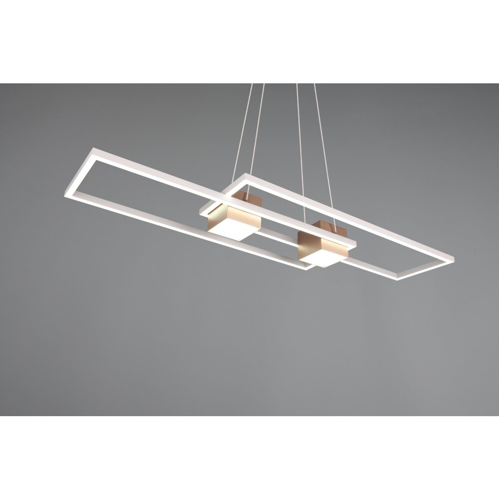 Illuminazione Trio Leuchten ALBANY Lampada a sospensione LED Marrone, 1-Luce, Telecomando