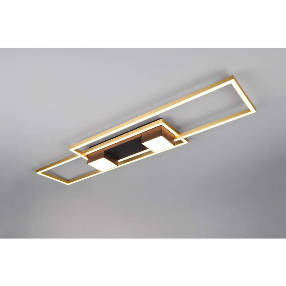 Illuminazione Trio Leuchten ALBANY Plafoniera LED Nero-Oro, 1-Luce, Telecomando main product photo