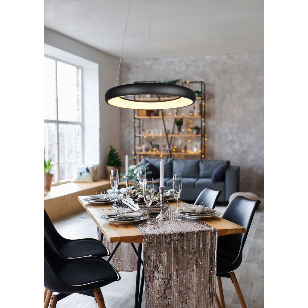 Illuminazione Trio Leuchten Cardona Lampada a sospensione LED Nero, 1-Luce main product photo
