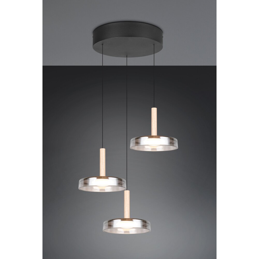 Illuminazione Trio Leuchten Celeste Lampada a sospensione LED Nero, 1-Luce main product photo