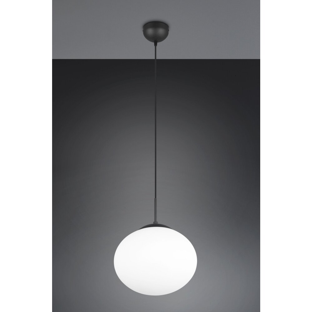Illuminazione Trio Leuchten Fomento Lampada a sospensione Nero, 1-Luce main product photo