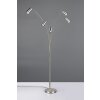Illuminazione Trio Leuchten Marley Lampada da terra Nichel opaco, 5-Luci