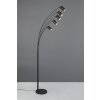 Illuminazione Trio Leuchten Marley Lampada da terra, Lampade ad arco Nero, 5-Luci