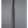 Illuminazione Trio Leuchten Marley Lampada da terra, Lampade ad arco Nero, 5-Luci
