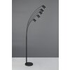 Illuminazione Trio Leuchten Marley Lampada da terra, Lampade ad arco Nero, 5-Luci