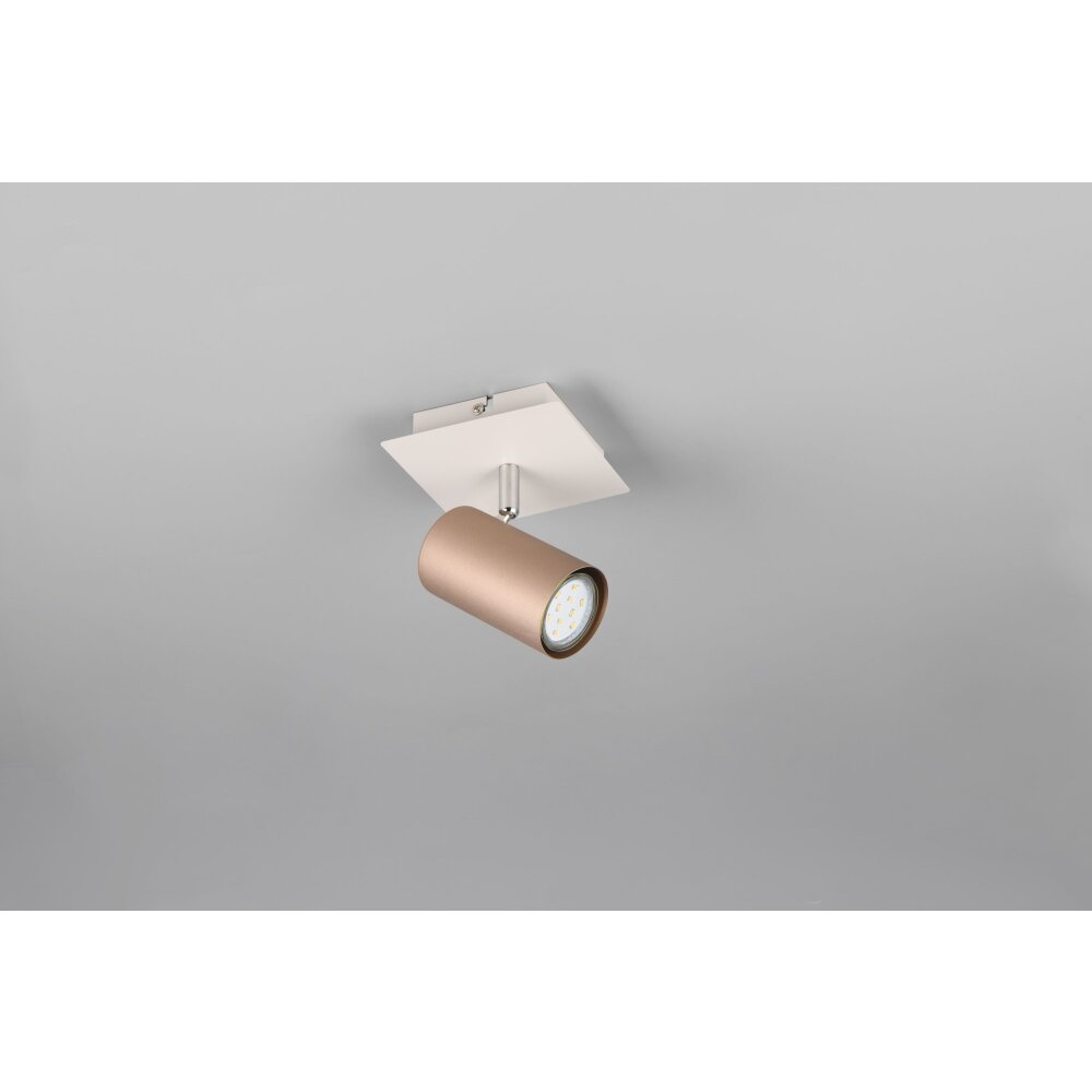 Illuminazione Trio Leuchten Marley Faretto da soffitto Marrone, 1-Luce main product photo