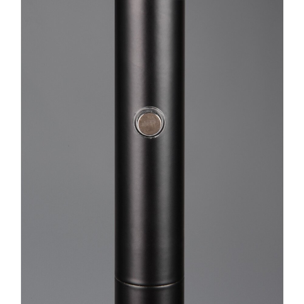 Illuminazione Reality Mondello Lampada da terra LED Nero, 1-Luce