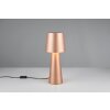 Illuminazione Trio Leuchten Nubian Lampada da tavolo Marrone, 1-Luce