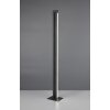 Illuminazione Trio Leuchten Seeker Lampada da terra LED Nero, 1-Luce
