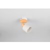 Illuminazione Trio Leuchten Shanti Faretto da soffitto Grigio, 1-Luce