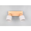 Illuminazione Trio Leuchten Shanti Faretto da soffitto Grigio, 2-Luci