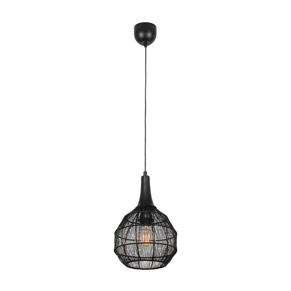Illuminazione Trio Leuchten SORAYA Lampada a sospensione Nero, 1-Luce main product photo