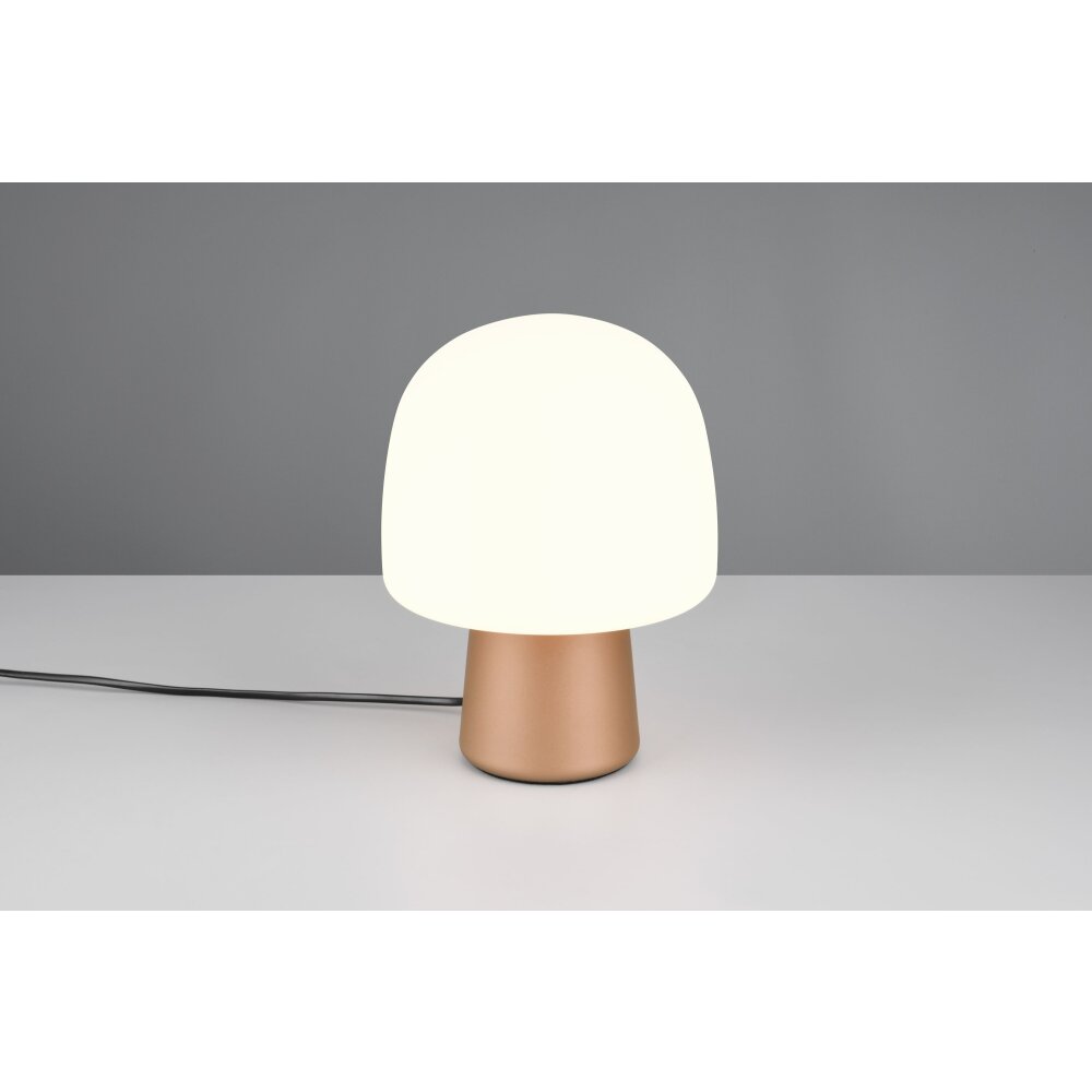Lampada a forma di fungo Illuminazione Trio Leuchten Steen Lampada da tavolo Marrone, 1-Luce main product photo