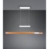 Illuminazione Trio Leuchten Trajan Lampada a sospensione LED Bianco, 1-Luce