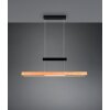 Illuminazione Trio Leuchten Trajan Lampada a sospensione LED Nero, 1-Luce