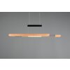 Illuminazione Trio Leuchten Trajan Lampada a sospensione LED Nero, 1-Luce