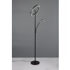 Illuminazione Trio Leuchten Willis Lampada da terra LED Nero, 2-Luci