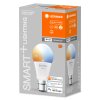 Illuminazione Ledvance B22d 9 Watt dimmerabile 806 Lumen