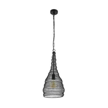Eglo COLTEN Lampadario a sospensione Nero, 1-Luce