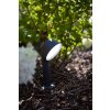 Lutec Dakota Lampada con picchetto LED Antracite, 1-Luce