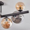 Chehalis Plafoniera, Lampada a sfera Ambrato, Grigio fumo, 8-Luci