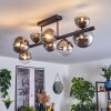 Chehalis Plafoniera, Lampada a sfera Cromo, Chiaro, Grigio fumo, 8-Luci