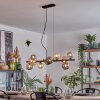Chehalis Lampadario a sospensione, Lampada a sfera, Lampada a sospensione Ambrato, Grigio fumo, 10-Luci