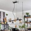 Chehalis Lampadario a sospensione, Lampada a sfera, Lampada a sospensione Ambrato, Grigio fumo, 8-Luci